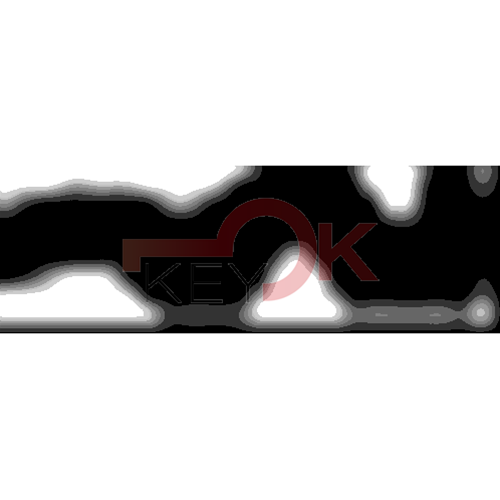 ERREBI - RU21* - MULTIPROF. E PASS ESTERO - 05B-OTT