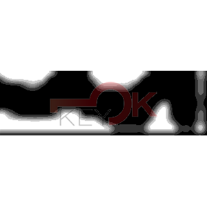 ERREBI - RU24R* - MULTIPROF. E PASS ESTERO - 05B-OTT