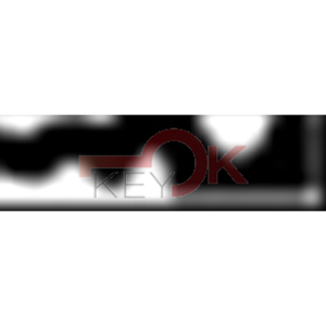 ERREBI - C13RL* - MULTIPROF. E PASS NAZIONALI - 05A-OTT