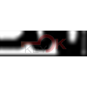 ERREBI - C19 - MULTIPROF. E PASS NAZIONALI - 05A-ACC