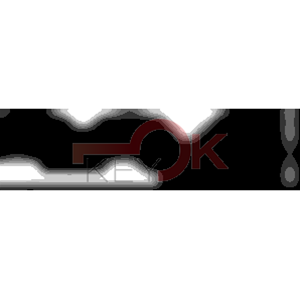 ERREBI - RU25* - MULTIPROF. E PASS ESTERO - 05B-OTT