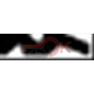 ERREBI - CO10* - MULTIPROF. E PASS NAZIONALI - 05A-OTT