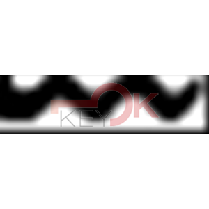 ERREBI - CO29R - MULTIPROF. E PASS NAZIONALI - 05A-ACC