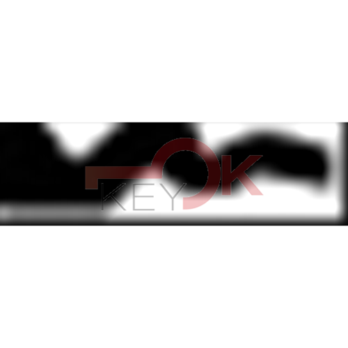 ERREBI - RU27R* - MULTIPROF. E PASS ESTERO - 05B-OTT