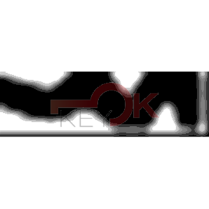 ERREBI - AA1 - MULTIPROF. E PASS ESTERO (05B-OTT)