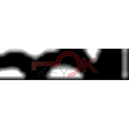 ERREBI - AA111 - MULTIPROF. E PASS ESTERO - 05B-OTT