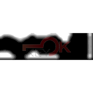 ERREBI - AA113* - MULTIPROF. E PASS ESTERO - 05B-OTT