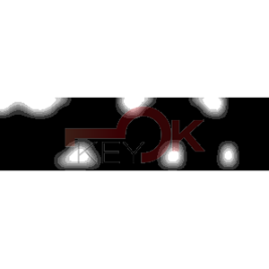 ERREBI - AA116* - MULTIPROF. E PASS ESTERO - 05B-OTT