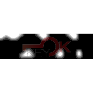 ERREBI - AA119* - MULTIPROF. E PASS ESTERO