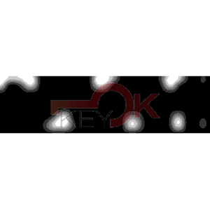 ERREBI - AA120 - MULTIPROF. E PASS ESTERO JMA/AS-11D (05B-ACC)