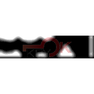 ERREBI - AA129R - MULTIPROF. E PASS ESTERO - 05B-OTT