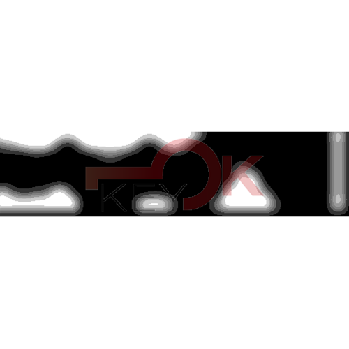 ERREBI - AA129R - MULTIPROF. E PASS ESTERO - 05B-OTT