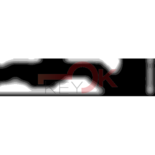 ERREBI - AA132 - MULTIPROF. E PASS ESTERO - 05B-OTT