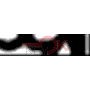 ERREBI - AA133R - MULTIPROF. E PASS ESTERO - 05B-OTT