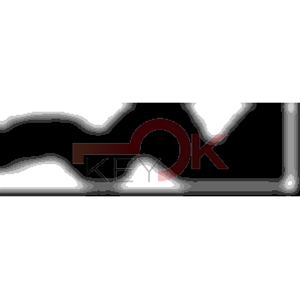 ERREBI - AA18* - MULTIPROF. E PASS ESTERO - 05B-OTT