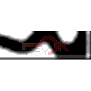 ERREBI - AA20* - MULTIPROF. E PASS ESTERO - 05B-OTT