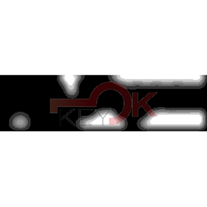 ERREBI - RU31* - MULTIPROF. E PASS ESTERO - 05B-OTT