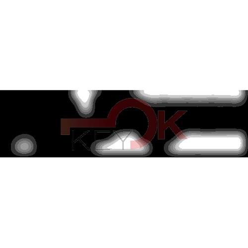 ERREBI - RU31* - MULTIPROF. E PASS ESTERO - 05B-OTT