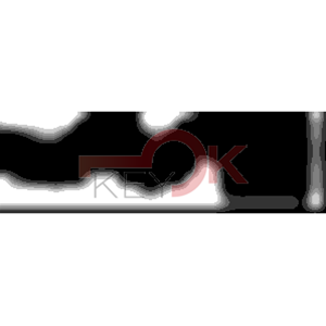 ERREBI - AA31R* - MULTIPROF. E PASS ESTERO - 05B-OTT