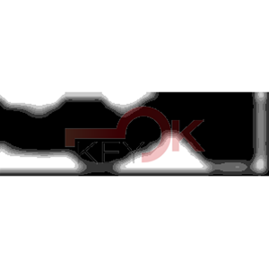 ERREBI - AA32R* - MULTIPROF. E PASS ESTERO - 05B-OTT