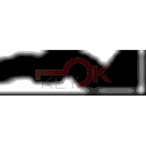 ERREBI - AA35* - MULTIPROF. E PASS ESTERO - 05B-OTT