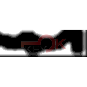 ERREBI - AA36R* - MULTIPROF. E PASS ESTERO - 05B-OTT