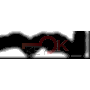 ERREBI - AA37* - MULTIPROF. E PASS ESTERO - 05B-OTT