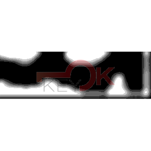 ERREBI - AA38R* - MULTIPROF. E PASS ESTERO - 05B-OTT