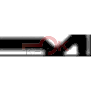 ERREBI - AA3R - MULTIPROF. E PASS ESTERO - 05B-OTT