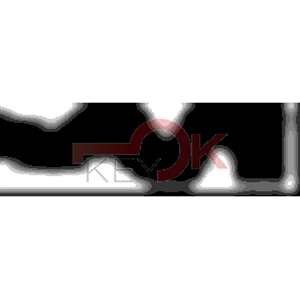 ERREBI - AA41R* - MULTIPROF. E PASS ESTERO - 05B-OTT