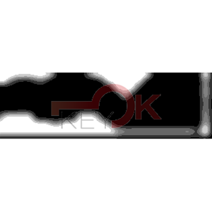 ERREBI - AA45R* - MULTIPROF. E PASS ESTERO - 05B-OTT