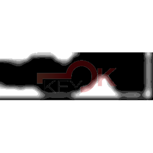 ERREBI - AA50* - MULTIPROF. E PASS ESTERO - 05B-OTT