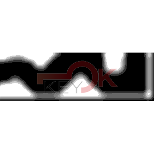 ERREBI - AA52* - MULTIPROF. E PASS ESTERO - 05B-OTT