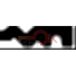 ERREBI - AA56* - MULTIPROF. E PASS ESTERO (05B-OTT)