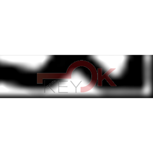 ERREBI - AA68* - MULTIPROF. E PASS ESTERO - 05B-OTT