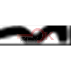 ERREBI - AA68R* - MULTIPROF. E PASS ESTERO - 05B-OTT