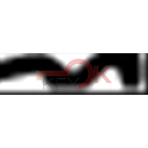 ERREBI - AA68R* - MULTIPROF. E PASS ESTERO - 05B-OTT