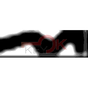 ERREBI - AA6R* - MULTIPROF. E PASS ESTERO - 05B-OTT