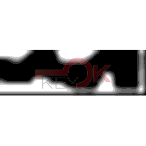 ERREBI - AA81R* - MULTIPROF. E PASS ESTERO - 05B-OTT