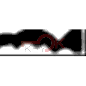 ERREBI - AA86* - MULTIPROF. E PASS ESTERO - 05B-OTT