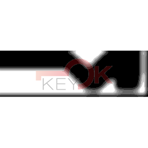 ERREBI - AA88R* - MULTIPROF. E PASS ESTERO - 05B-OTT