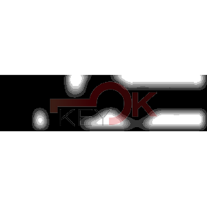 ERREBI - RU46* - MULTIPROF. E PASS ESTERO - 05B-OTT