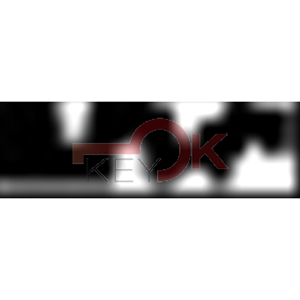 ERREBI - AN12R - MULTIPROF. E PASS ESTERO - 05B-ACC