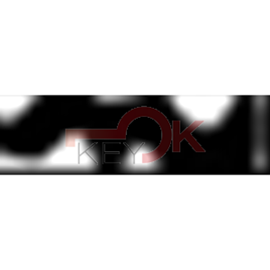 ERREBI - AU18 - MULTIPROF. E PASS ESTERO - 05B-ACC