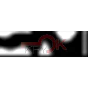 ERREBI - AU19* - MULTIPROF. E PASS ESTERO - 05B-OTT