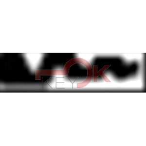 ERREBI - AU2* - MULTIPROF. E PASS ESTERO - 05B-OTT