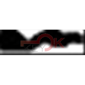 ERREBI - RU47* - MULTIPROF. E PASS ESTERO - 05B-OTT