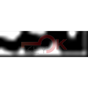 ERREBI - AU33 - MULTIPROF. E PASS ESTERO - 05B-ACC