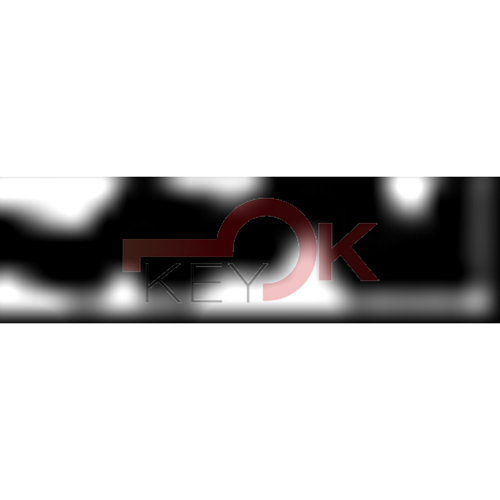 ERREBI - AU33 - MULTIPROF. E PASS ESTERO - 05B-ACC