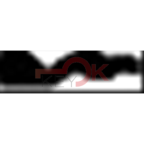 ERREBI - RU47* - MULTIPROF. E PASS ESTERO - 05B-OTT